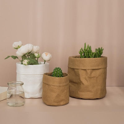 Desktop Paper Planter - Down&Town